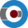 Icicert Icon logo